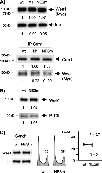 FIG. 11.