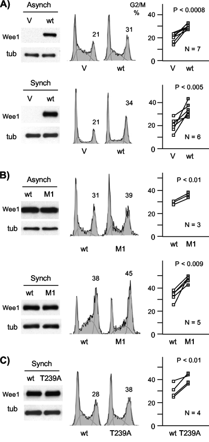 FIG. 7.