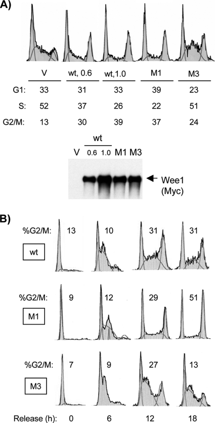 FIG. 6.