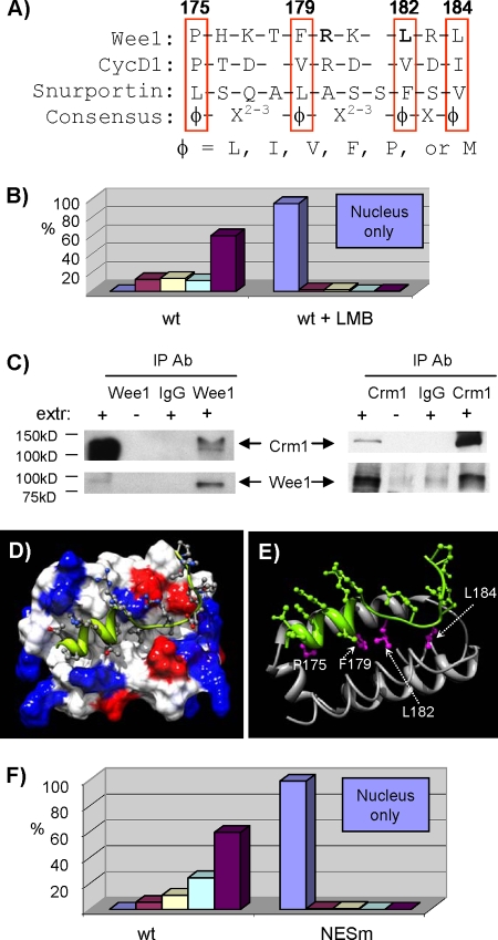 FIG. 9.