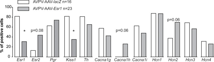 Figure 4—figure supplement 1.