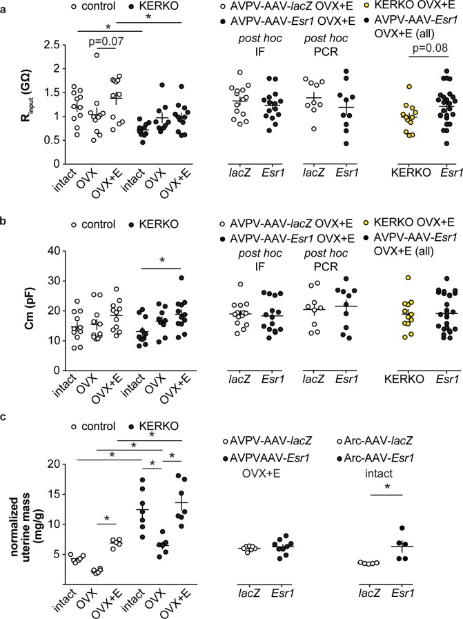 Figure 1—figure supplement 1.