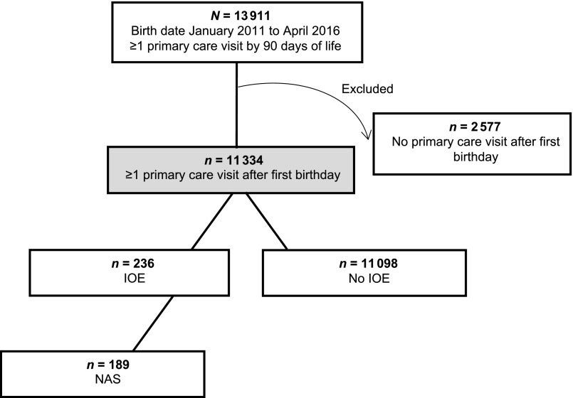 FIGURE 1