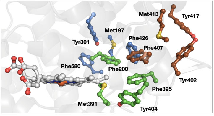 Figure 7