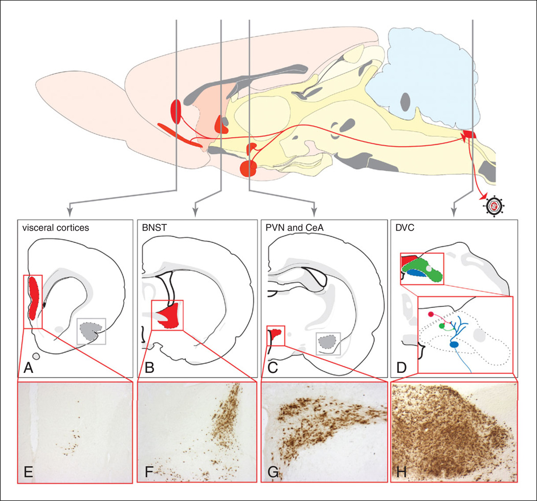 Figure 1.5.4