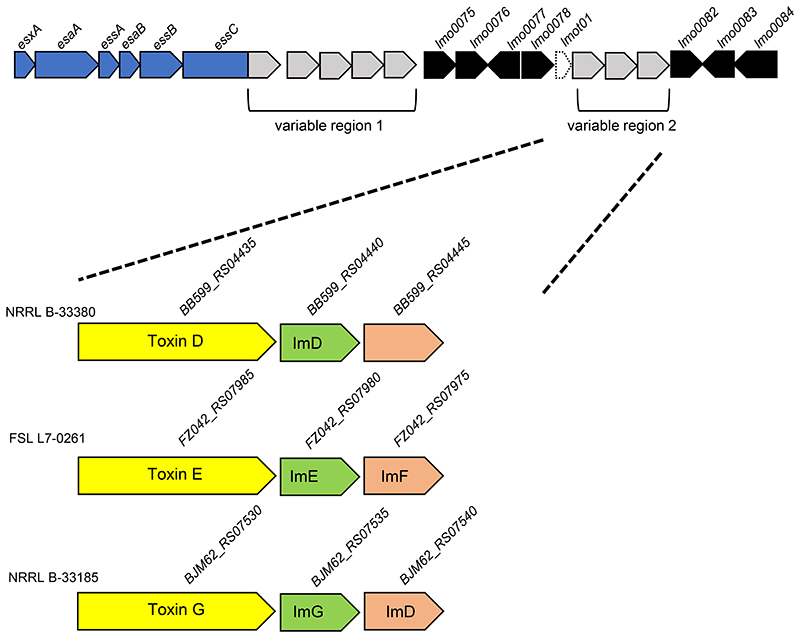 Figure 7