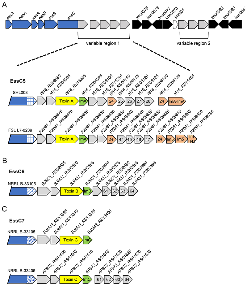 Figure 5