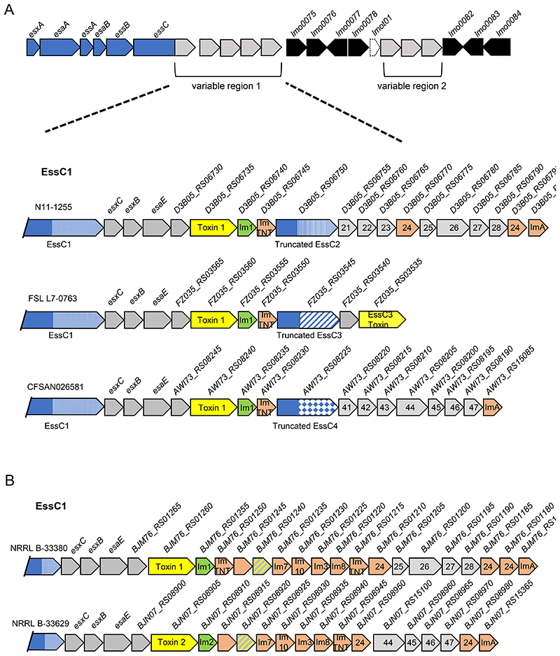 Figure 6