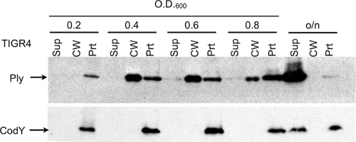 FIG. 5.