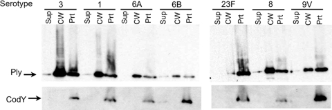 FIG. 4.