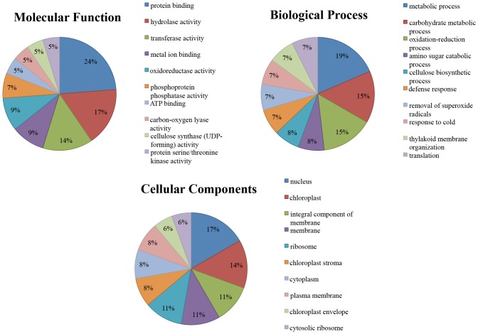 Fig 12