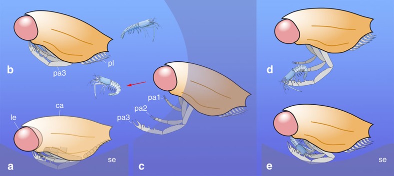 Figure 5