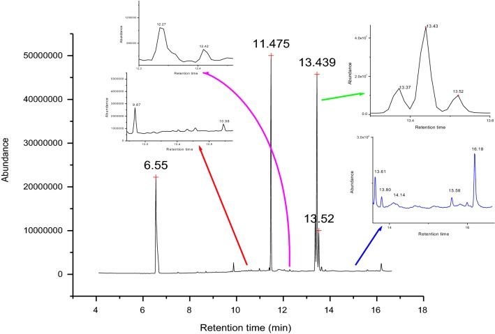 Fig. 1