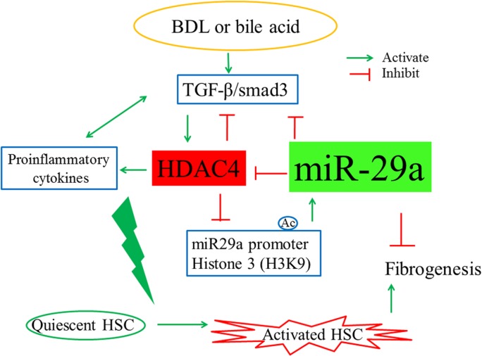 Fig 10