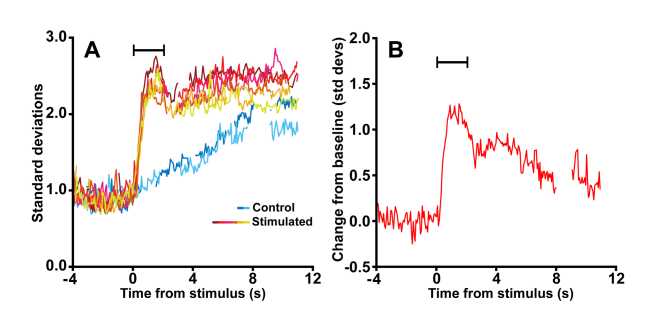 Fig. 4