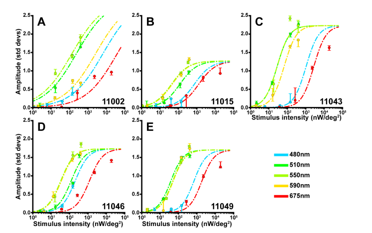 Fig. 6