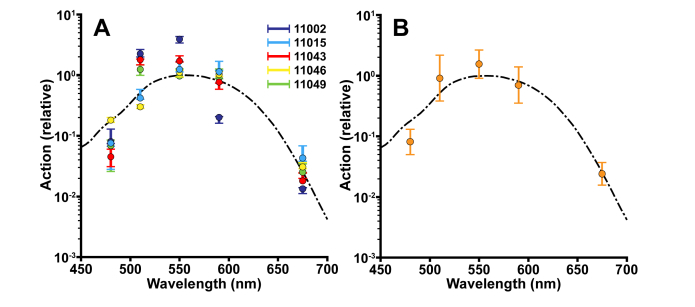 Fig. 7