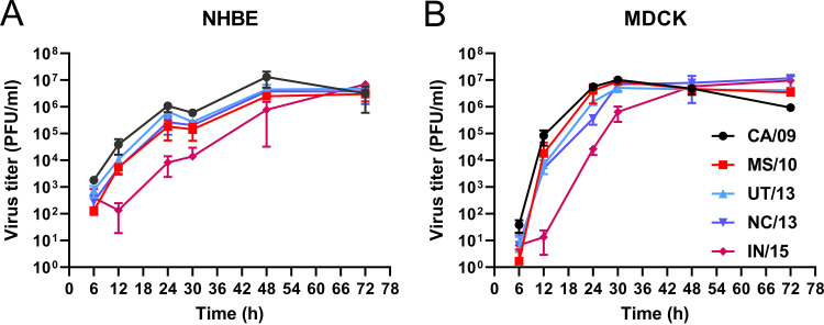 FIG 5