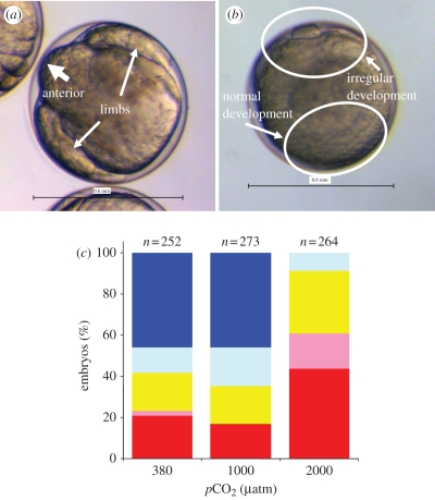 Figure 2.