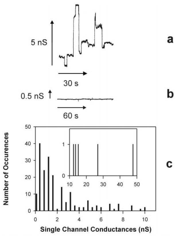 Fig. 5