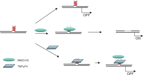 Figure 5.