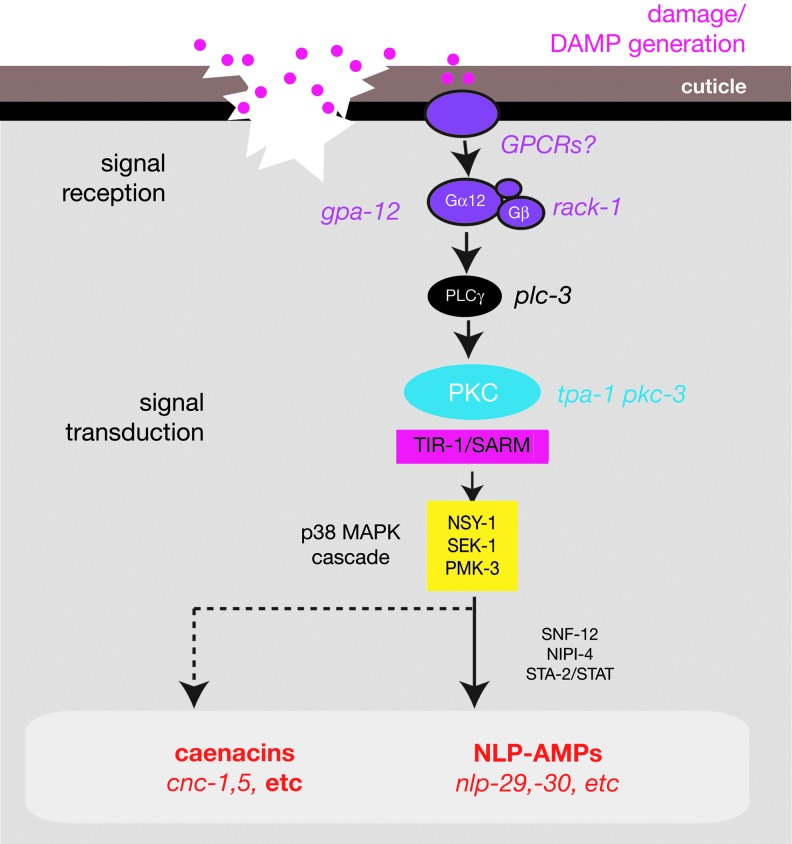 Figure 2.