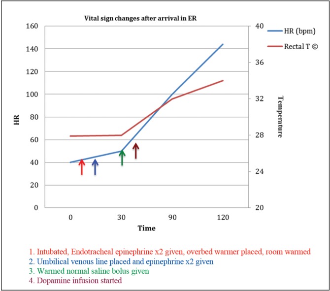 Figure 1)