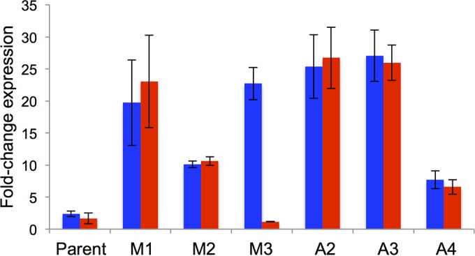 FIG 6