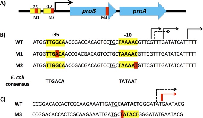 FIG 2