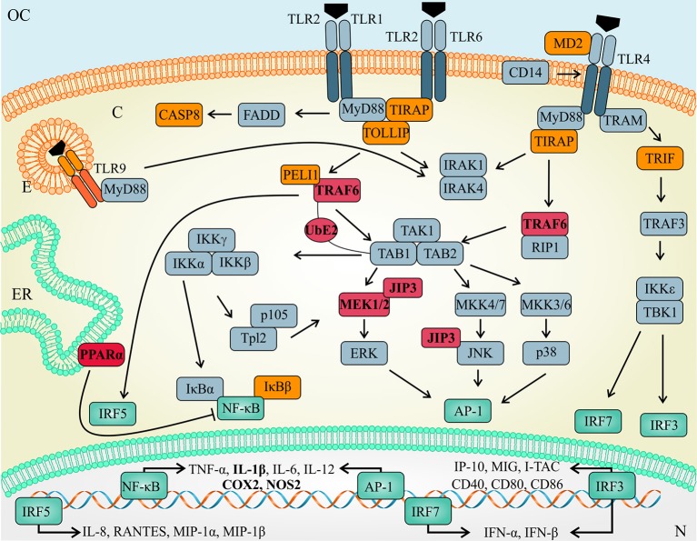 Figure 7