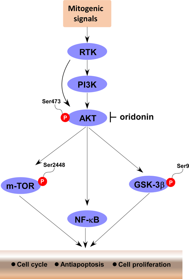 Figure 9.