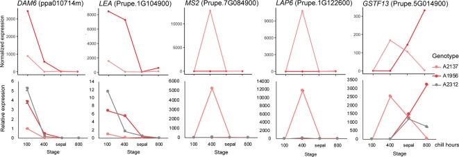 Figure 4