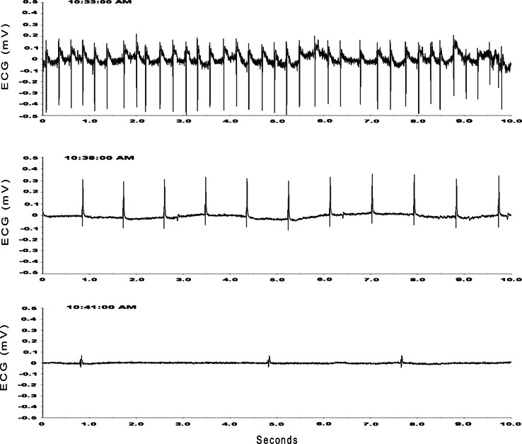 Fig. 6