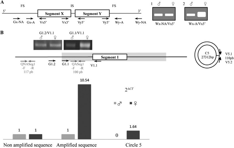 Fig 2