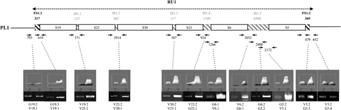 Fig 3