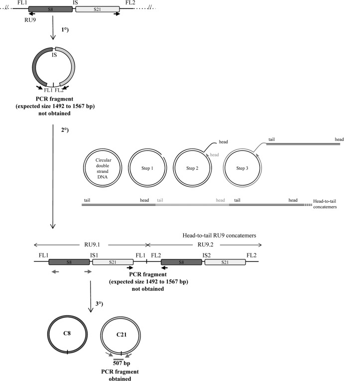 Fig 6