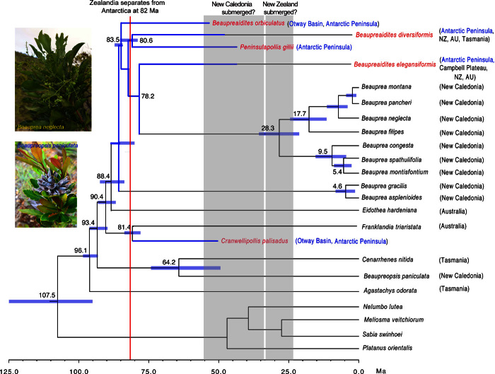 Fig. 4