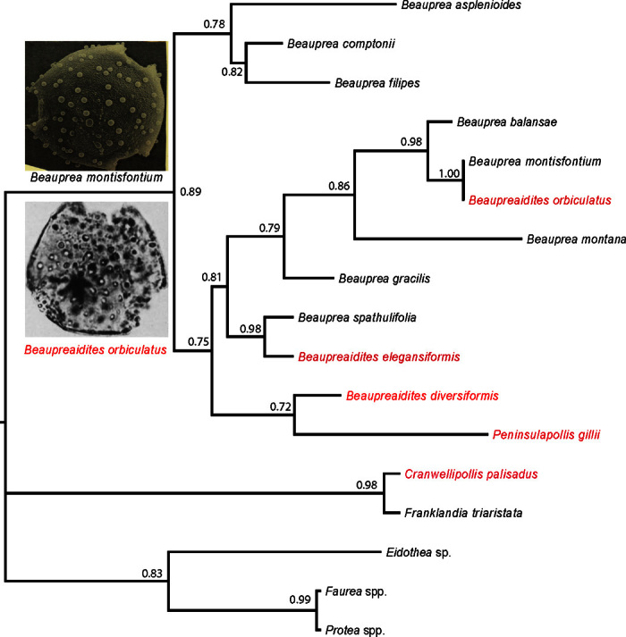 Fig. 3