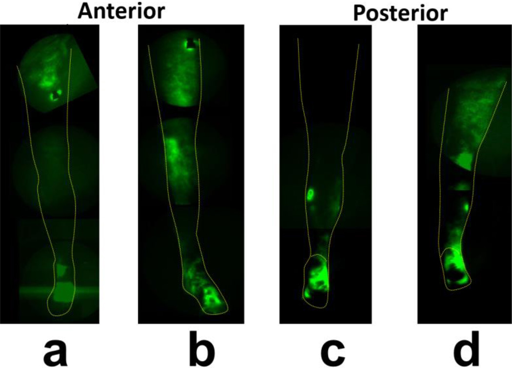 Fig. 8