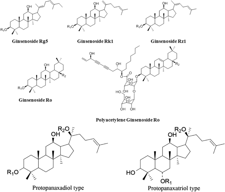 Fig. 1