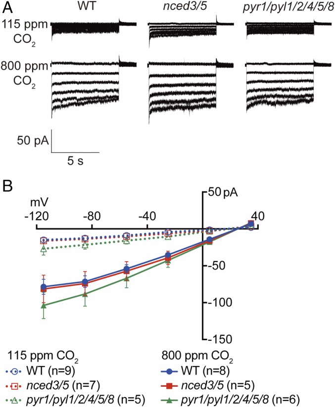 Fig. 6.