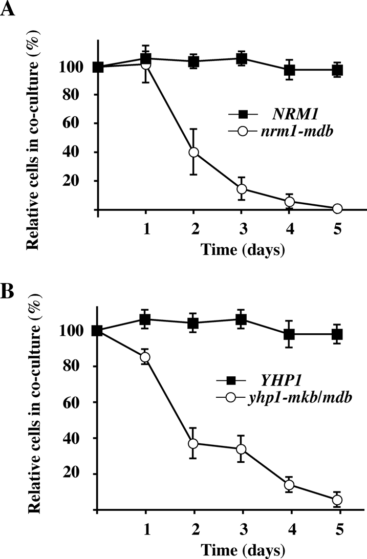 FIGURE 7: