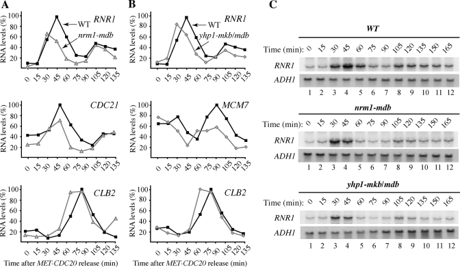 FIGURE 6: