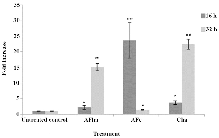 Figure 4.