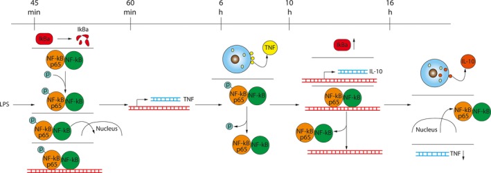 Figure 7