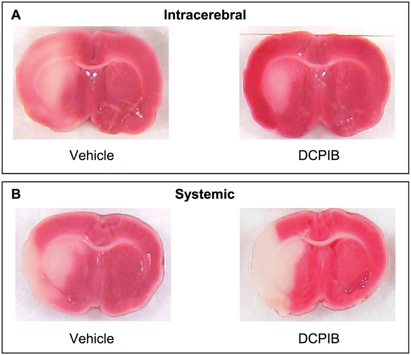 Figure 12.6