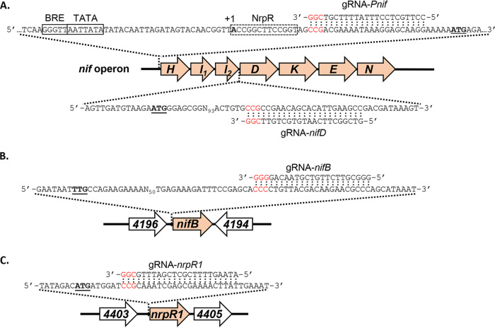 FIG 3