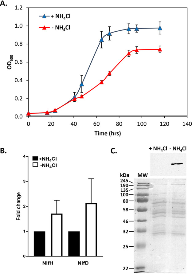 FIG 2