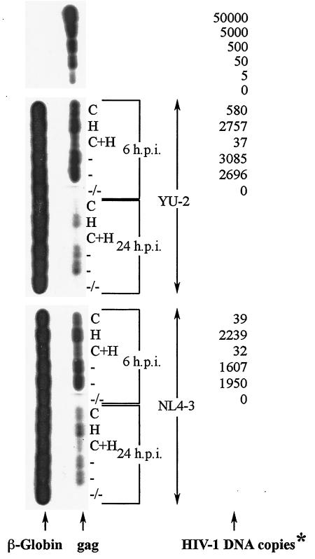 FIG. 9.