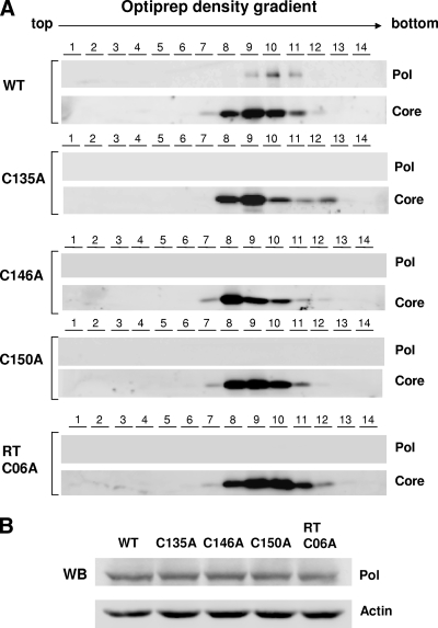 FIG. 8.